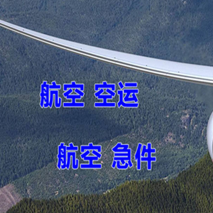 额济纳旗桃来空运代理快递-选东方航空和上海航空